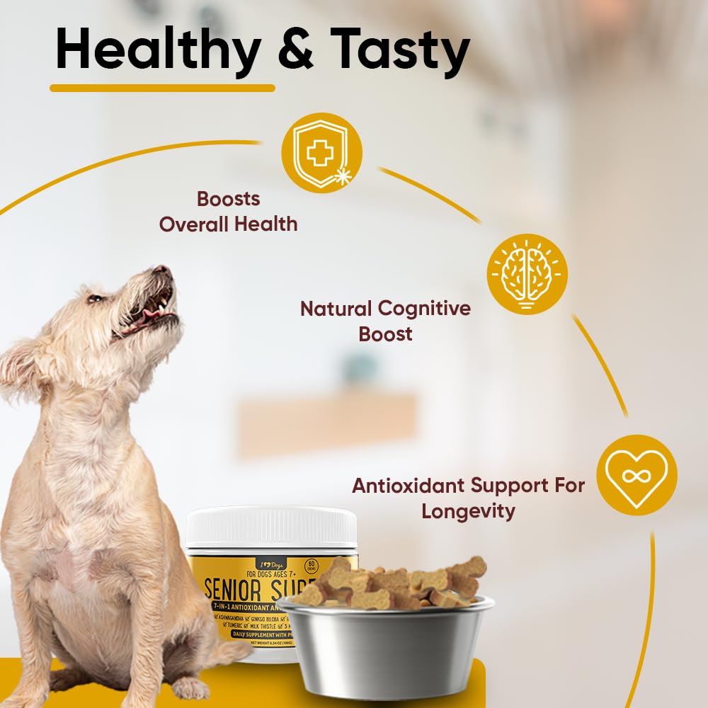 iHeartDogs Senior Super 7 dog eating with meals for simple administration.