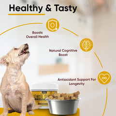 iHeartDogs Senior Super 7 dog eating with meals for simple administration.