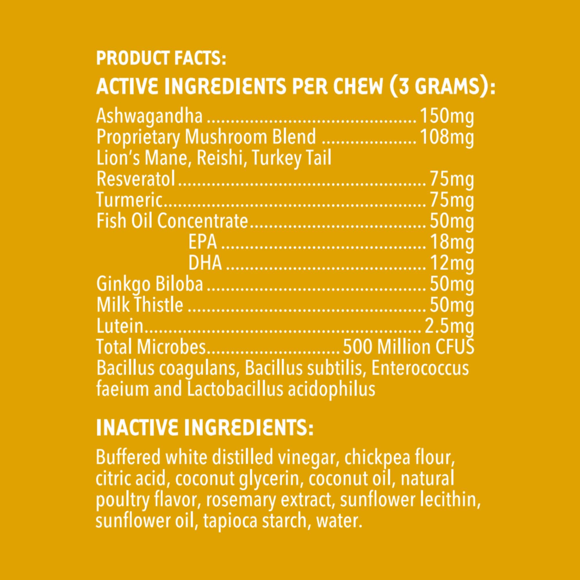 iHeartDogs Senior Super 7 mushroom blend infographic emphasizing cognitive support.