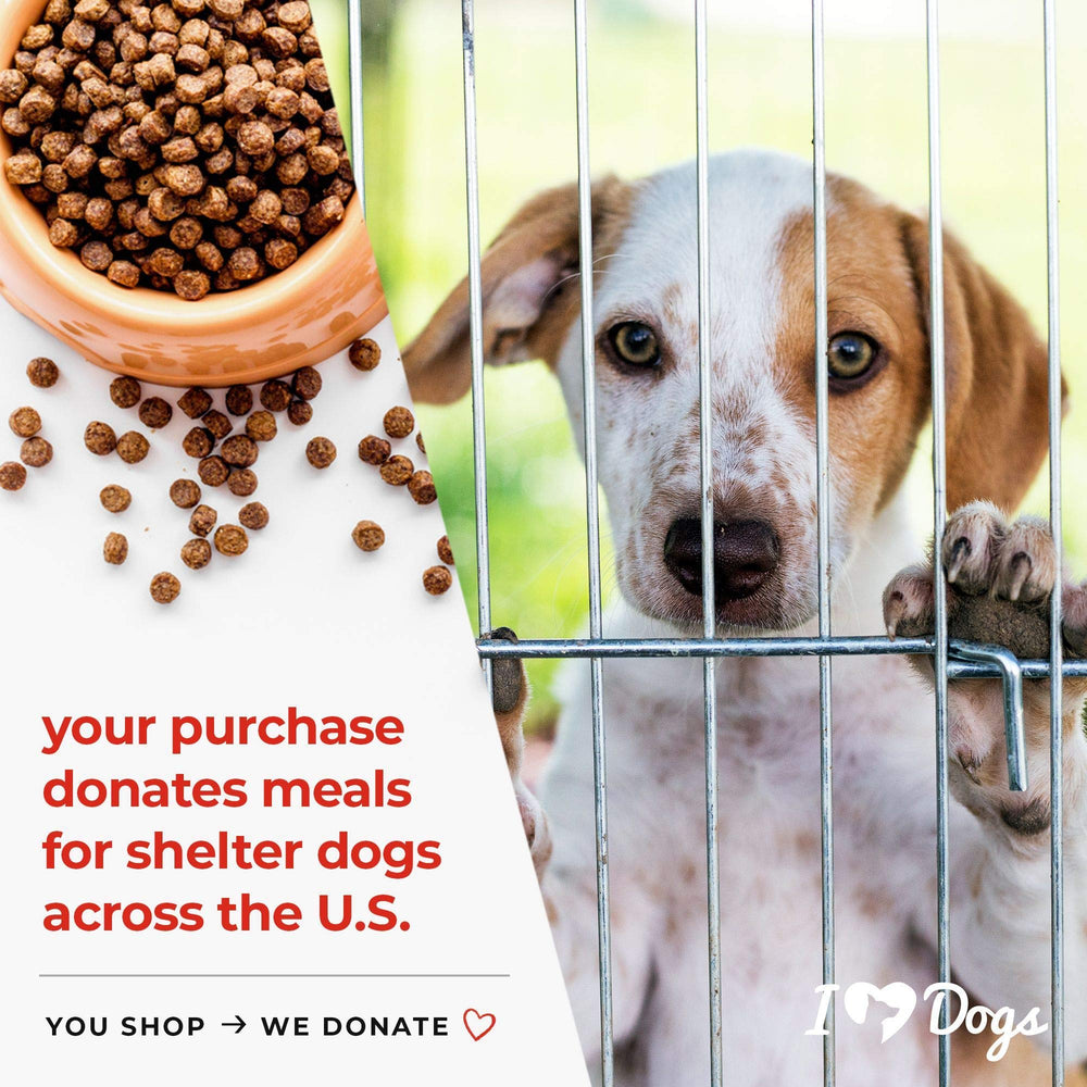 iHeartDogs Shelter Support for rescued dogs emphasizing care and donations