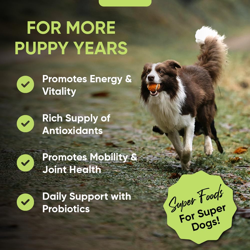 iHeartDogs Super Greens with probiotics aiding digestive comfort during meals.