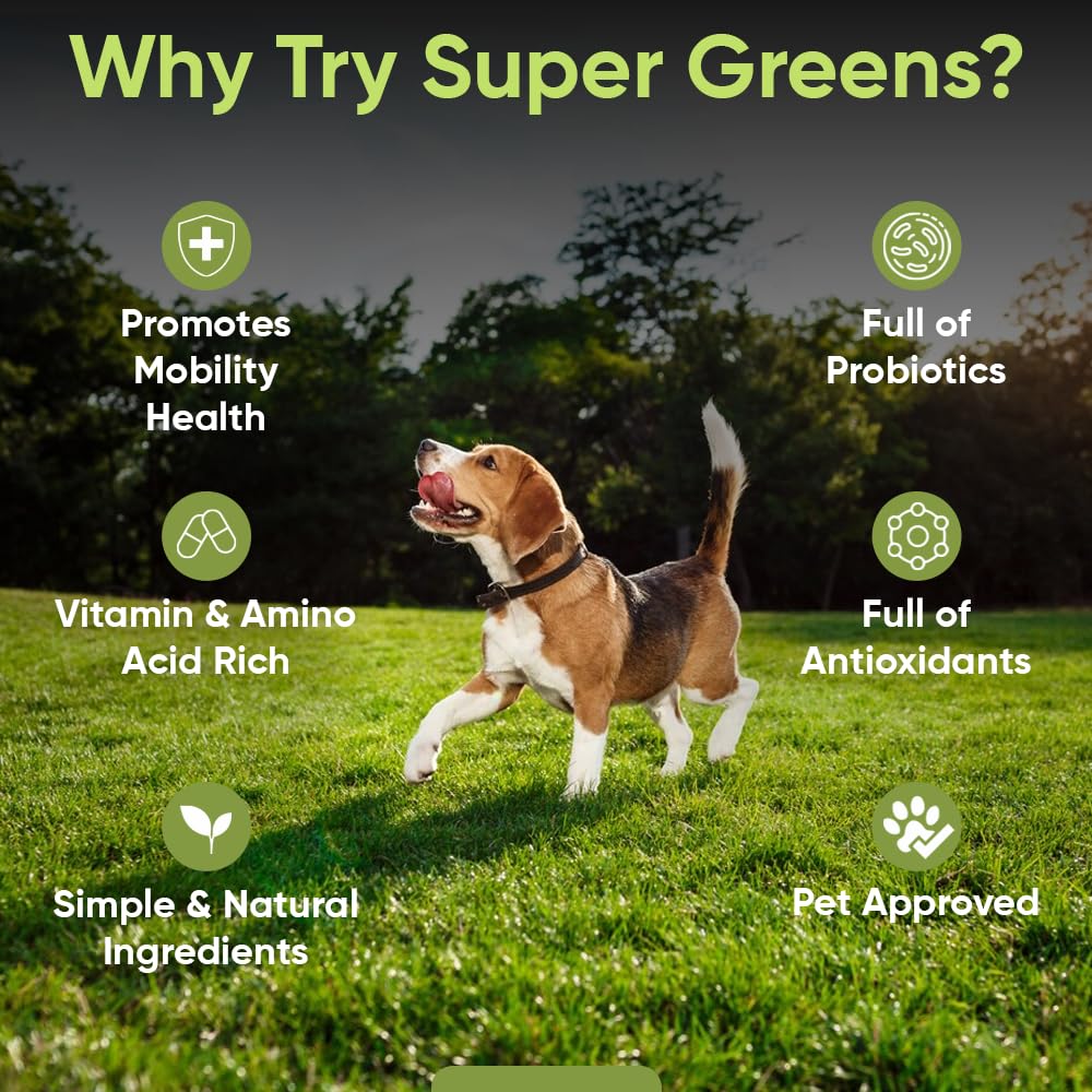 iHeartDogs Super Greens scoop dispensing powder into dog bowl for convenient serving.