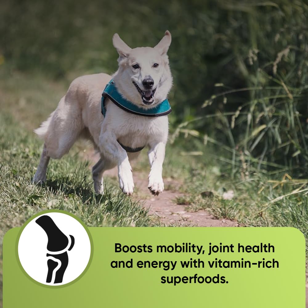 iHeartDogs Super Greens spirulina blend in vibrant greens for natural antioxidant support.
