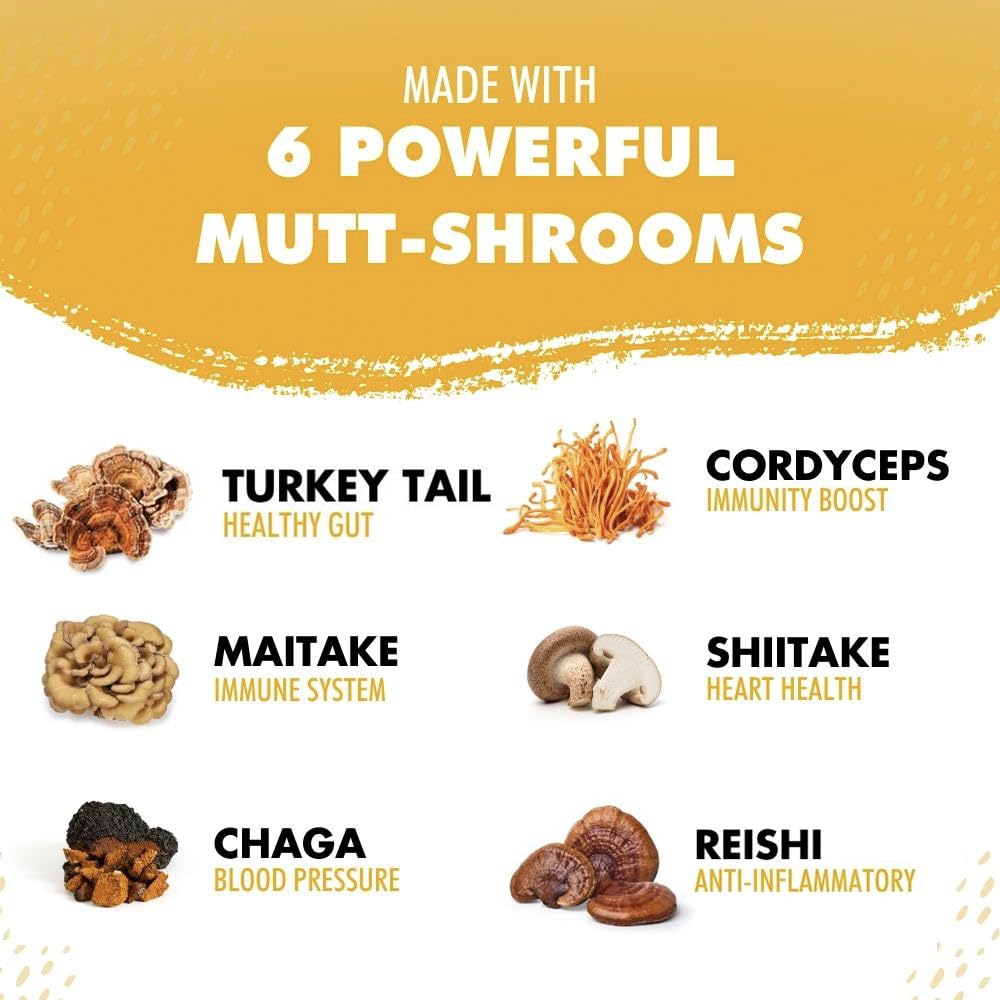 iHeartDogs turkey tail mushroom powder with scoop as a versatile meal topper