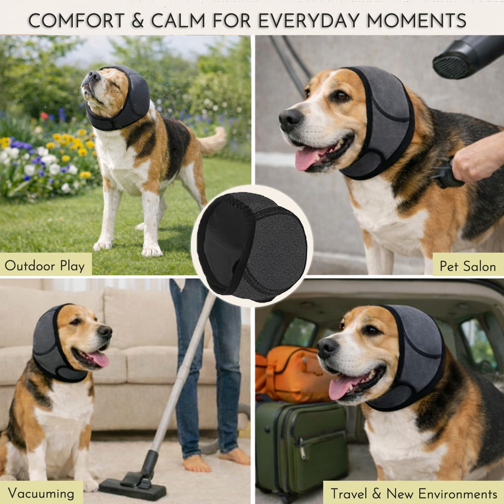 iKeep adjustable Velcro ear wrap fits medium breeds securely
