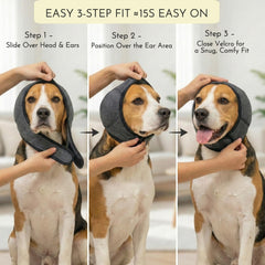 iKeep calming compression aids dog anxiety during vet visits