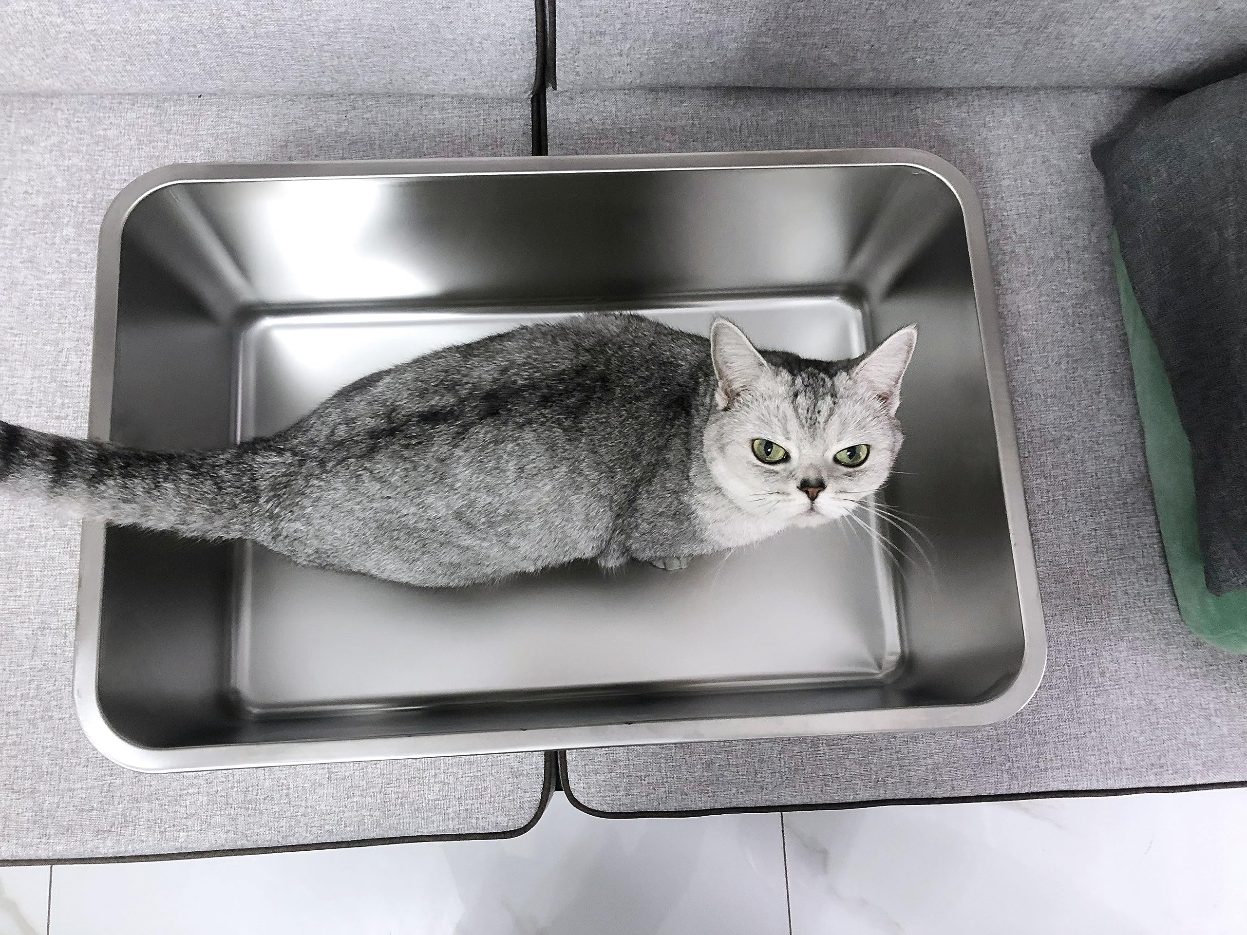 IKITCHEN stainless steel litter box interior is spacious for multiple pets.