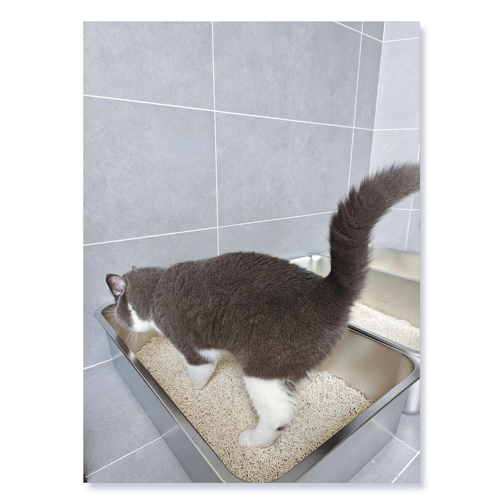 IKITCHEN low-entry design for kittens and small cats