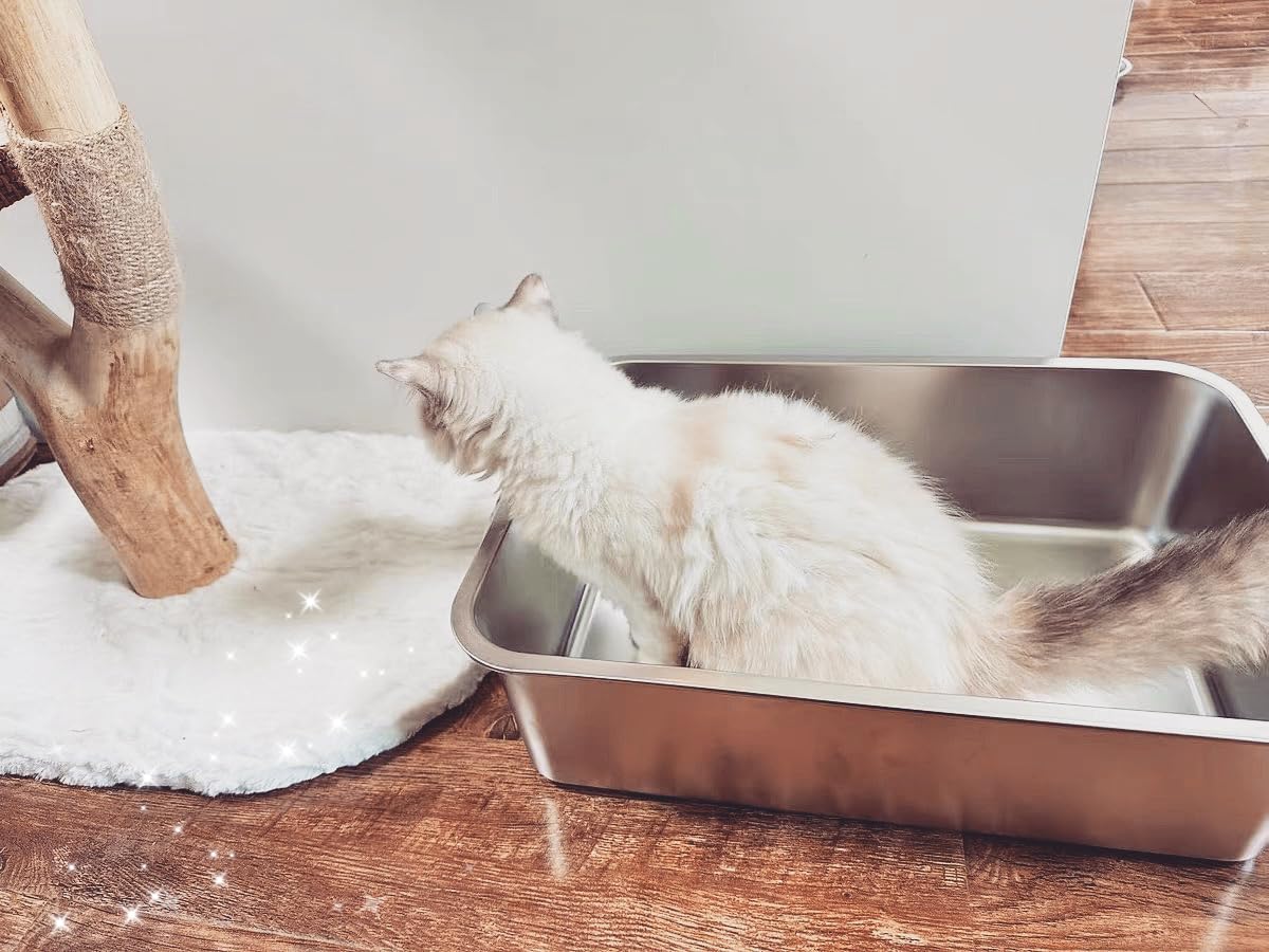 IKITCHEN odor-free design keeps nearby air fresh when the box is in use.