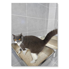 IKITCHEN litter box top view highlighting spacious interior for kittens.