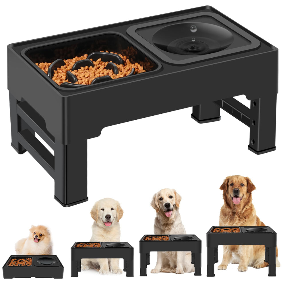 ikuso 2-in-1 elevated slow feeder bowls on a stand for comfortable feeding
