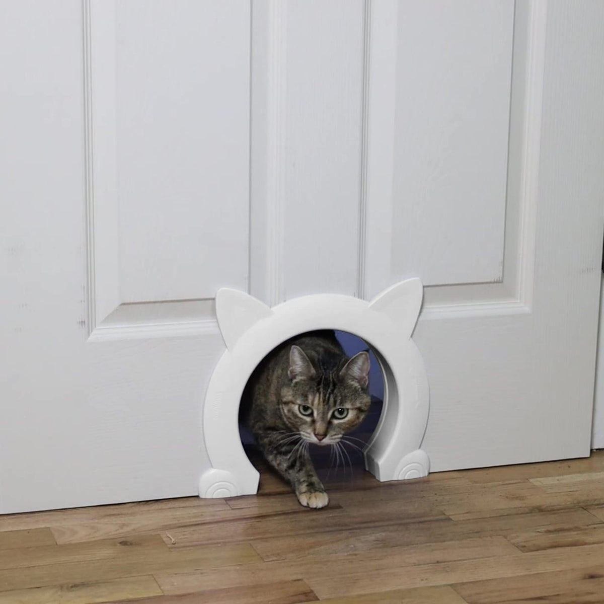 Ikuso indoor cat door front view for barrier-free access for pets