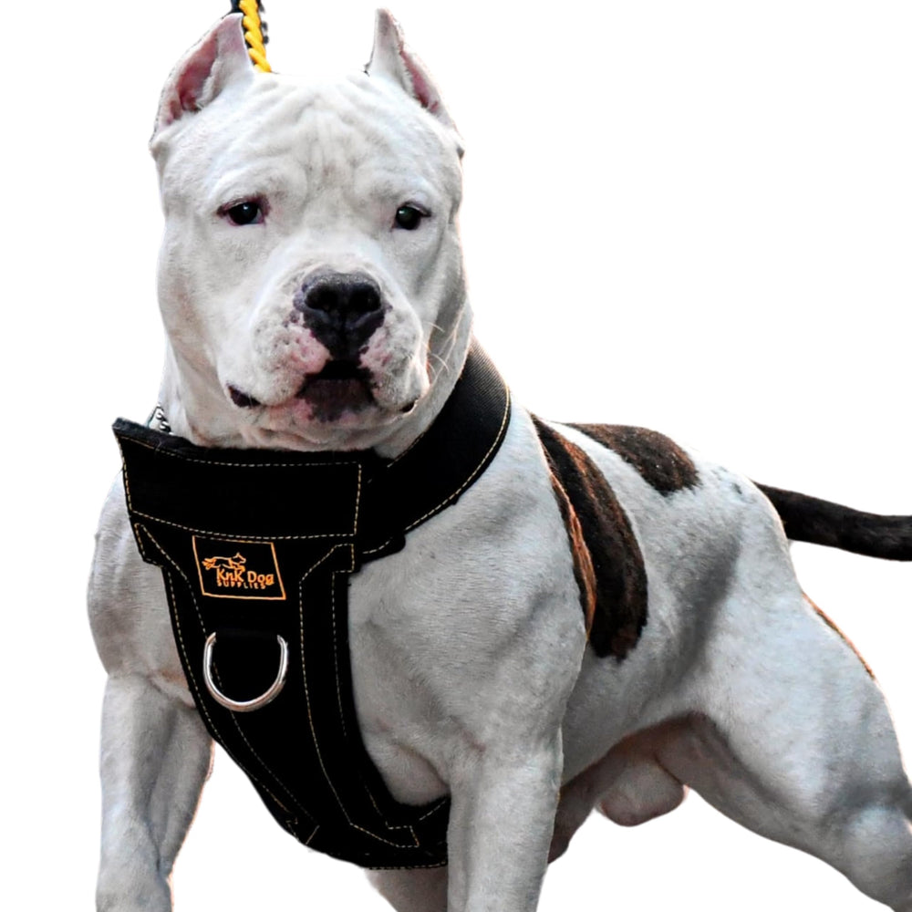 KNK heavy-duty dog harness with front clip to discourage pulling during walks.