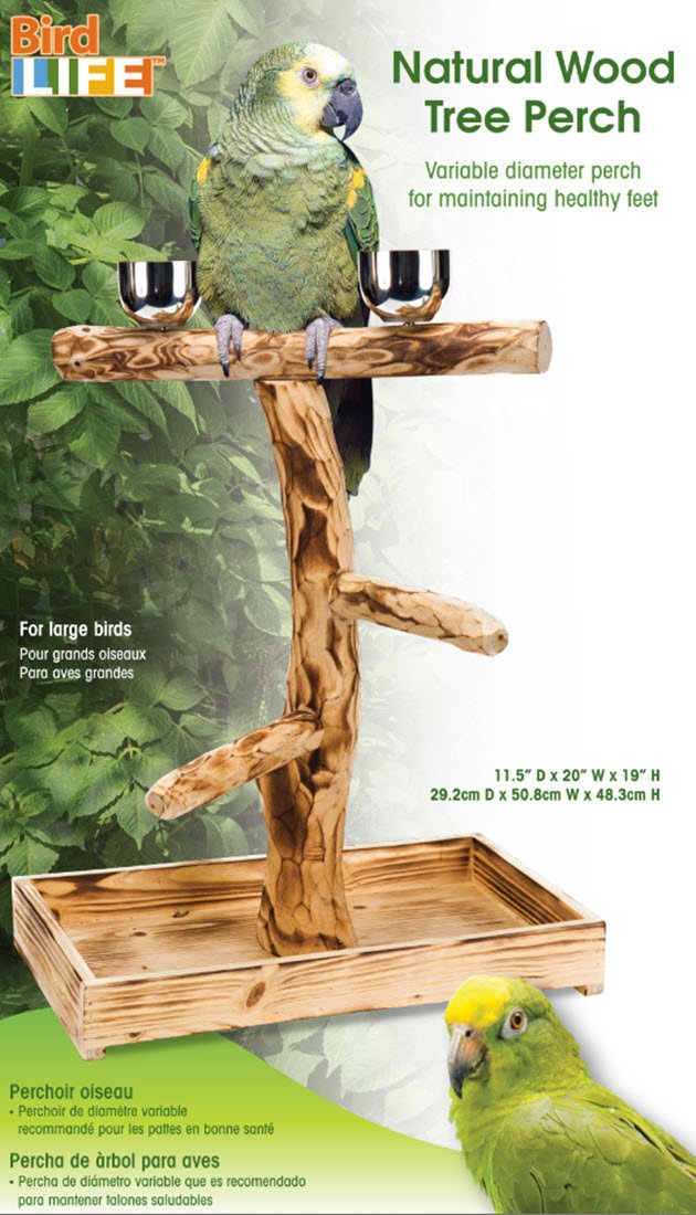 PENN-PLAX Bird-Life perch with stainless steel cups ready for easy feeding and cleaning