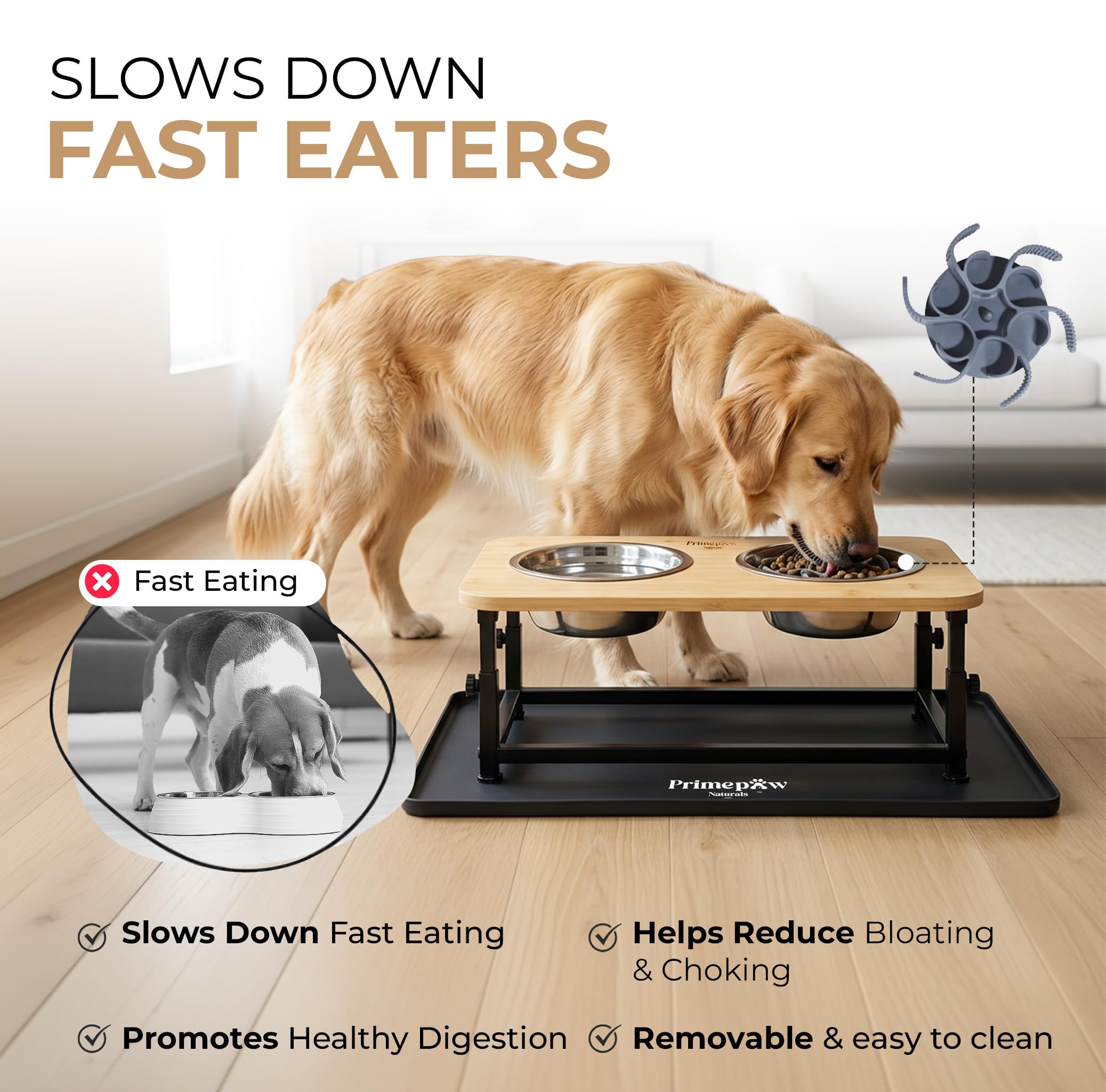 Two 34 oz stainless steel bowls for everyday meals.