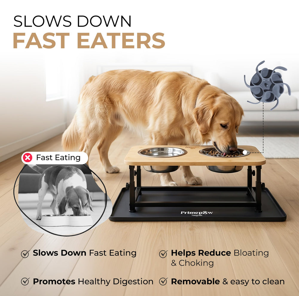 Two 34 oz stainless steel bowls for everyday meals.