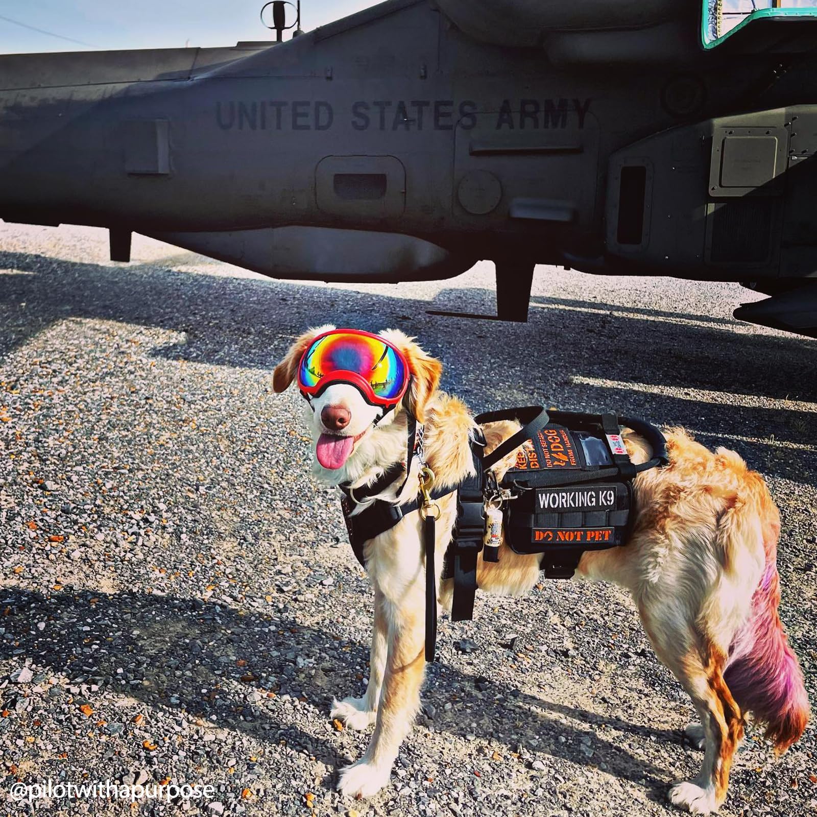 OneTigris service dog vest MOLLE panels for customizable gear.