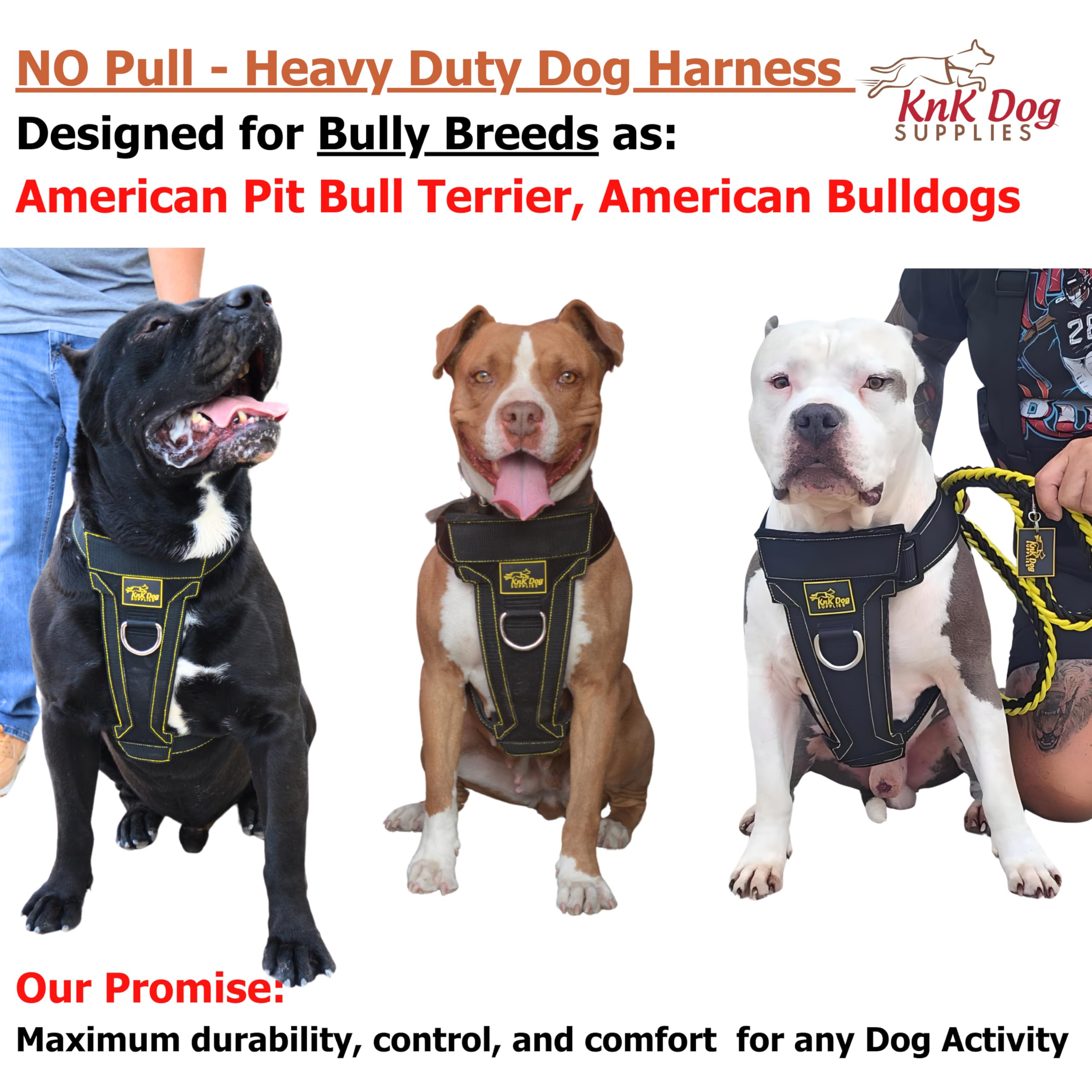 KNK step-in harness for quick on/off on large breed dogs.