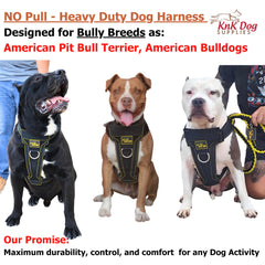 KNK step-in harness for quick on/off on large breed dogs.