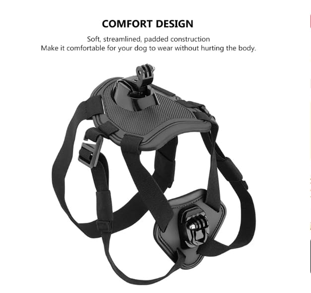 Wogerplu Dog Harness for GoPro — Dual Mount Bases, Soft Adjustable for 15–120 lb Dogs, Fits GoPro 3–12, DJI Osmo Pocket, Insta360