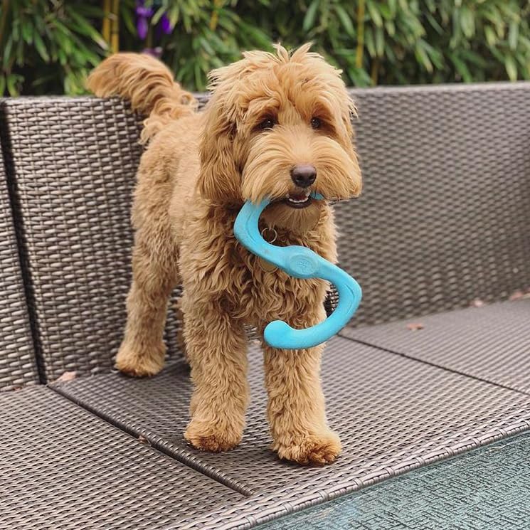 West Paw Zogoflex Bumi Toy - S-Shaped Tug & Fetch, Small 8-inch, Aqua Blue, Latex-Free
