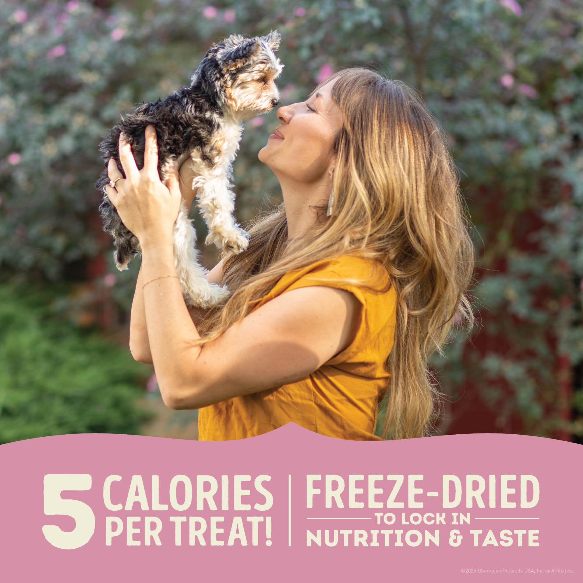 ACANA Singles Lamb & Apple Freeze-Dried Dog Treats – Limited-Ingredient, Grain-Free 3.25oz Bag