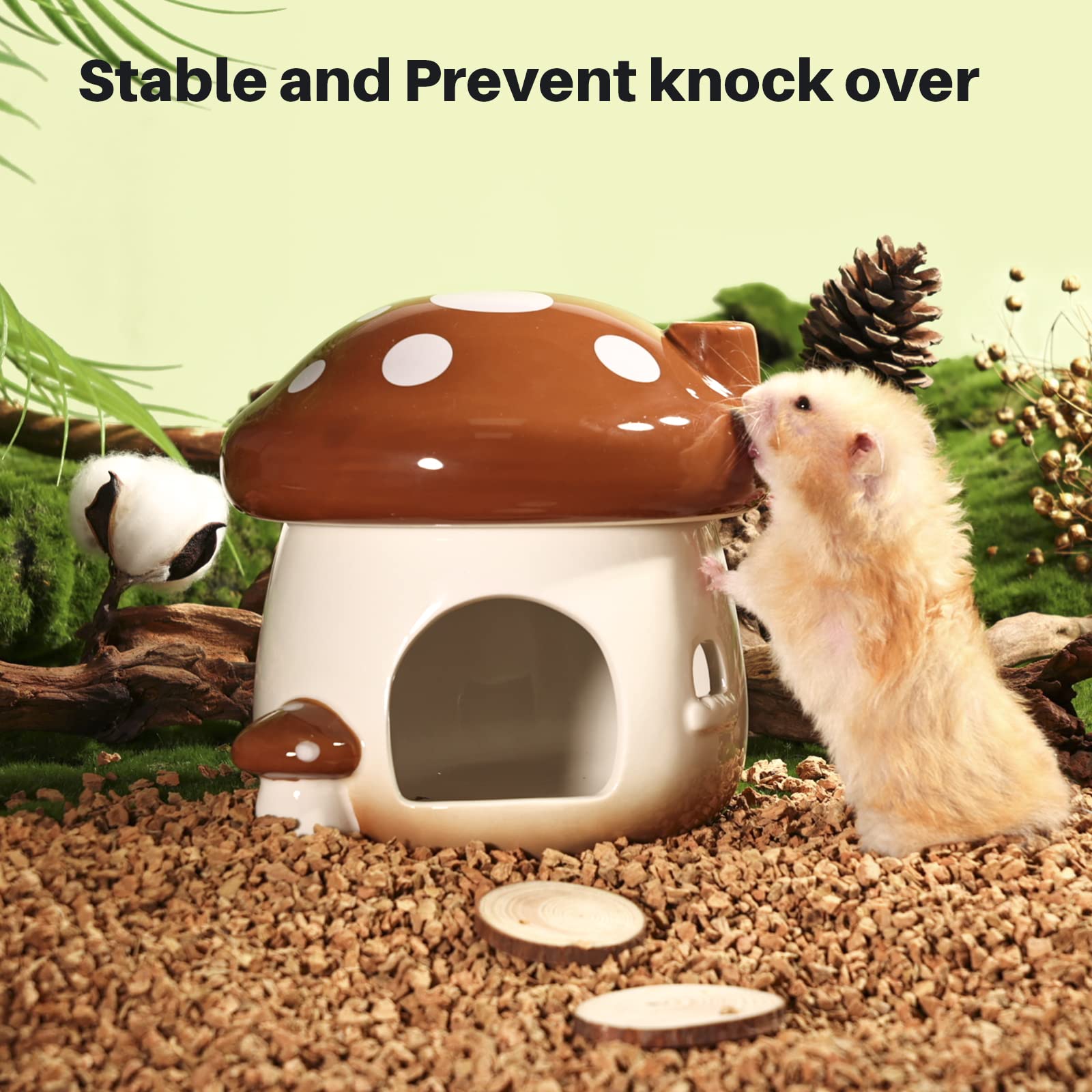BUCATSTATE dwarf-hamster habitat brown-side-view compact size