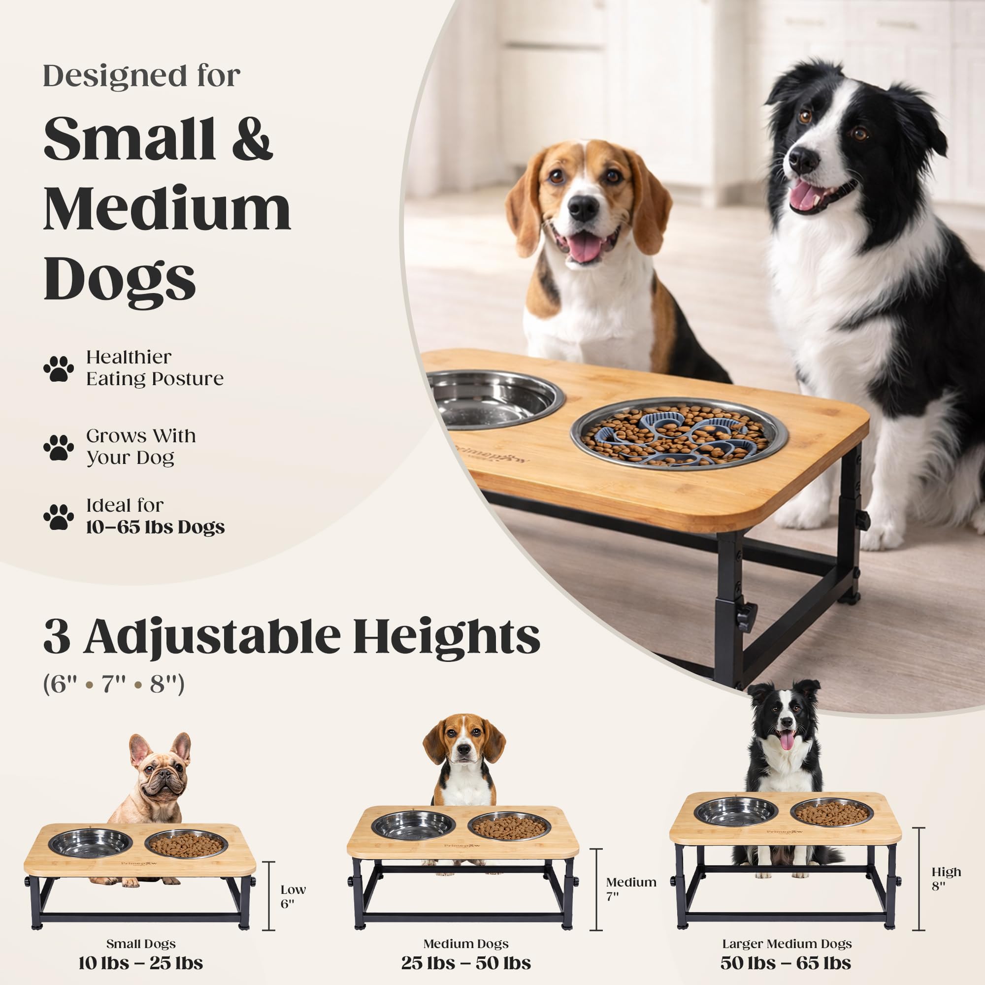 Three height settings fit small to medium dogs.