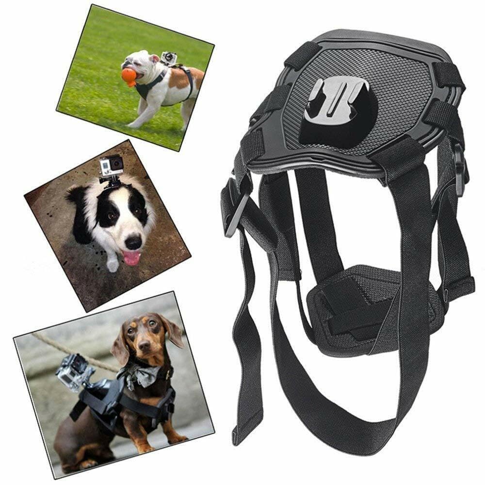 Wogerplu Dog Harness for GoPro — Dual Mount Bases, Soft Adjustable for 15–120 lb Dogs, Fits GoPro 3–12, DJI Osmo Pocket, Insta360