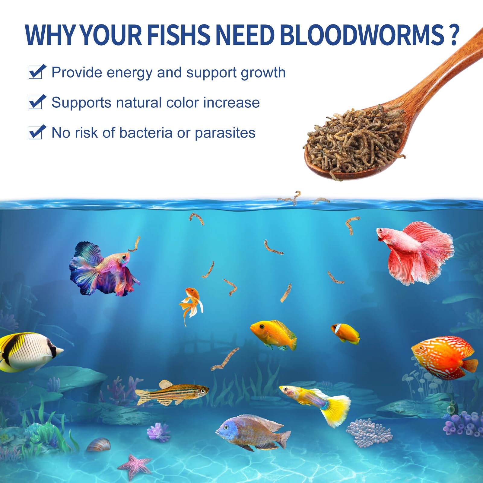 Dylan's cabin Freeze Dried Blood Worms - High Protein Fish Food (85g) for Freshwater & Saltwater