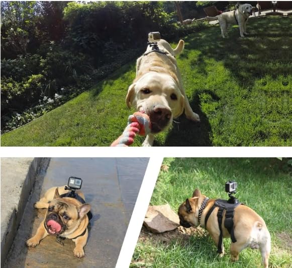 Wogerplu Dog Harness for GoPro — Dual Mount Bases, Soft Adjustable for 15–120 lb Dogs, Fits GoPro 3–12, DJI Osmo Pocket, Insta360