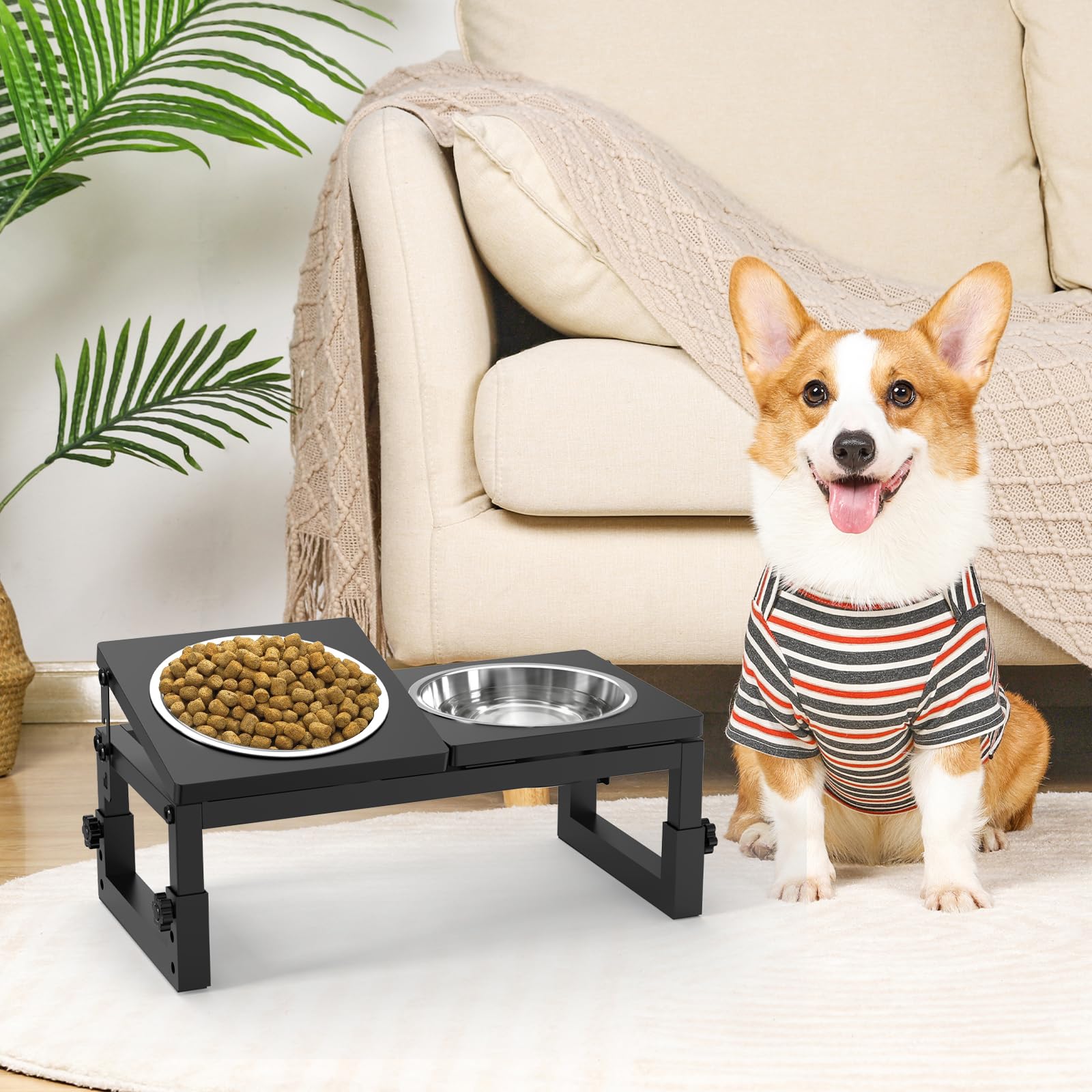 LIDTOP compact feeding station suits small to medium dogs.