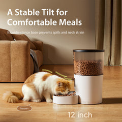 IMIPAW automatic feeder dispensing in action highlights portion control