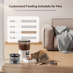 IMIPAW six-meals-per-day setup helps manage portioned feeding
