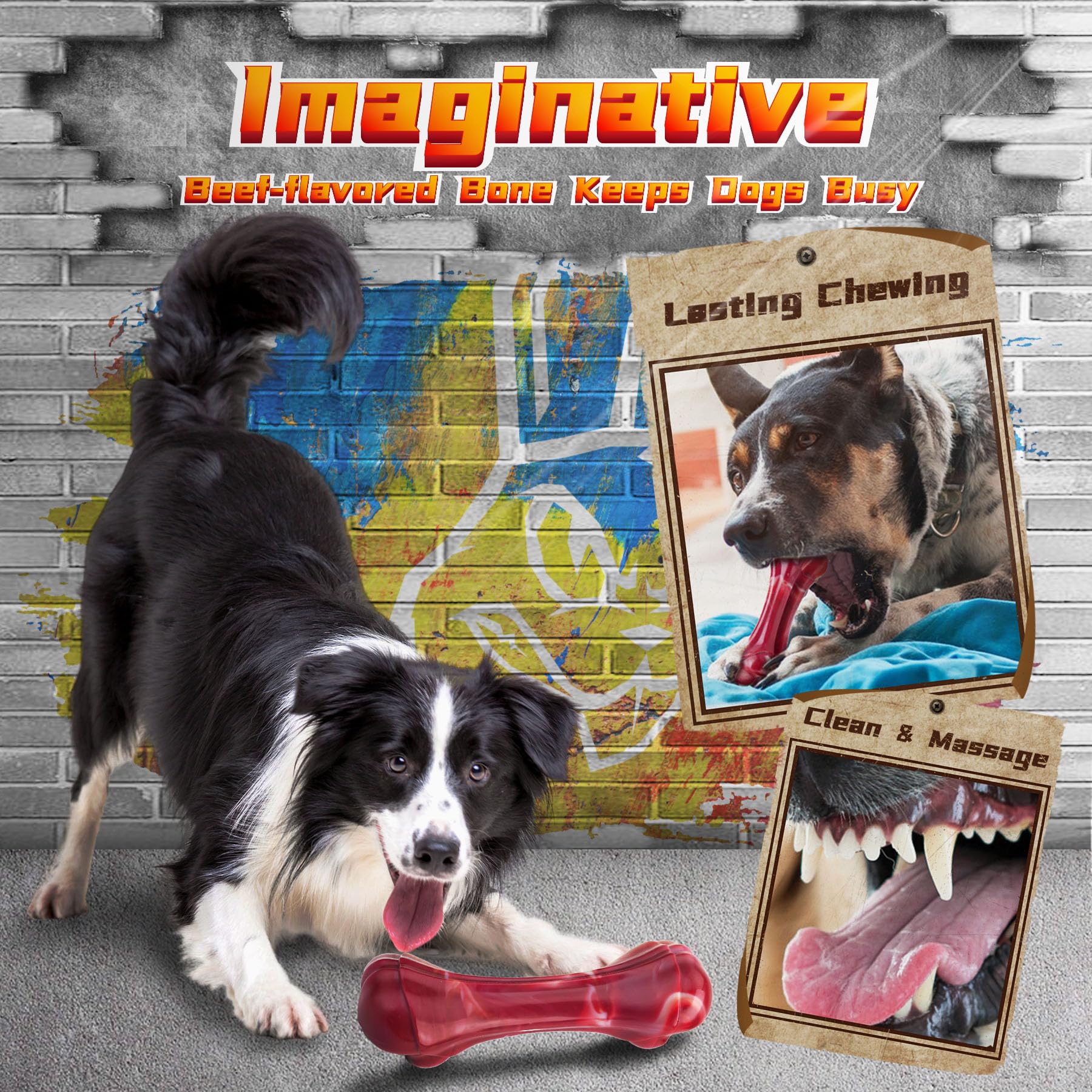 IMMADBUNY flying-disc for toss-and-fetch and active workouts.