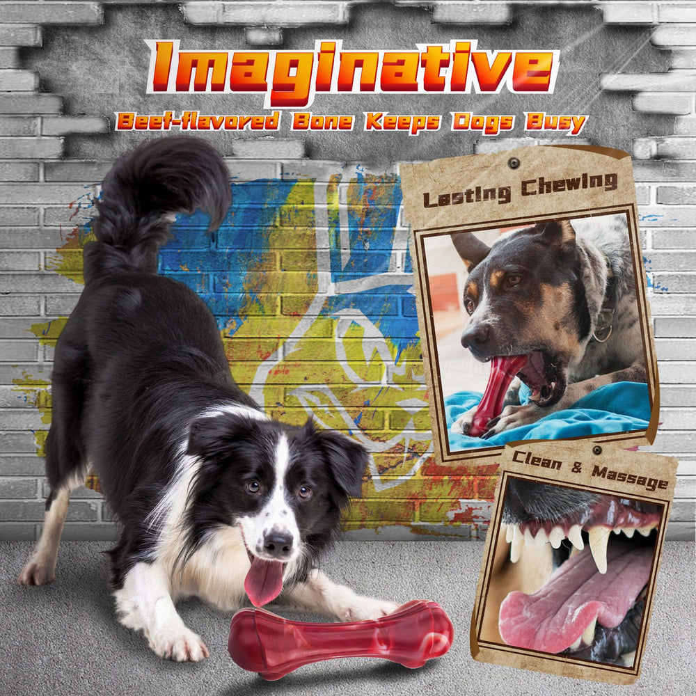 IMMADBUNY flying-disc for toss-and-fetch and active workouts.