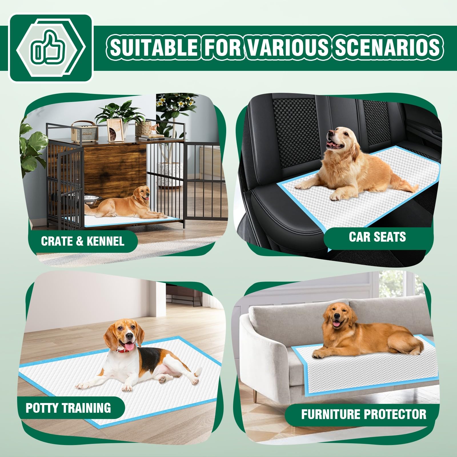 IMMCUTE 30-count packaging on shelf highlights convenience for busy owners.