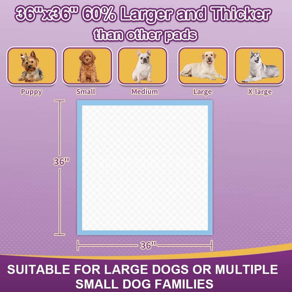 IMMCUTE 36x36 inch size ideal for puppies, seniors, cats, rabbits.