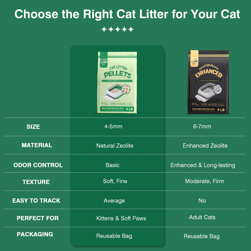 IMMCUTE 4-5mm spherical granules offer paw-friendly comfort.