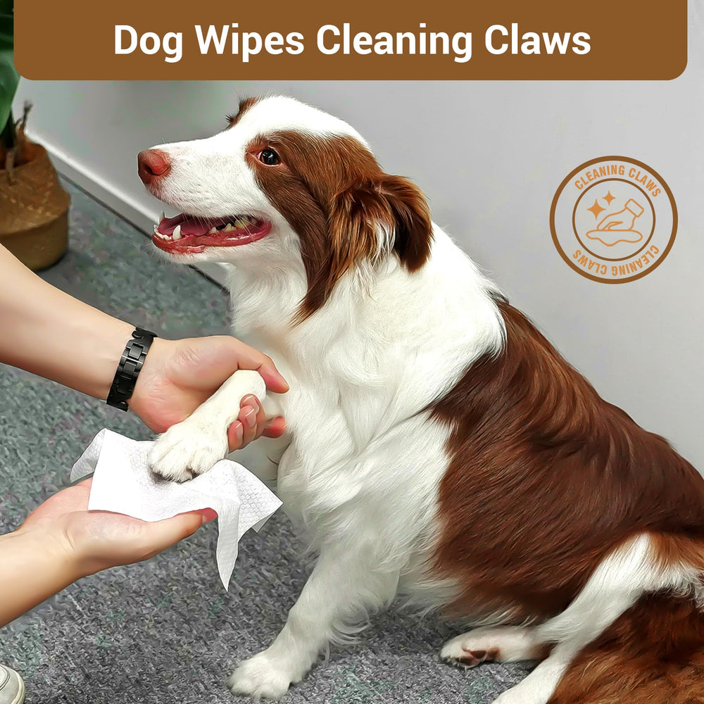 IMMCUTE wipes for butt care, thick and durable for quick hygiene after meals.