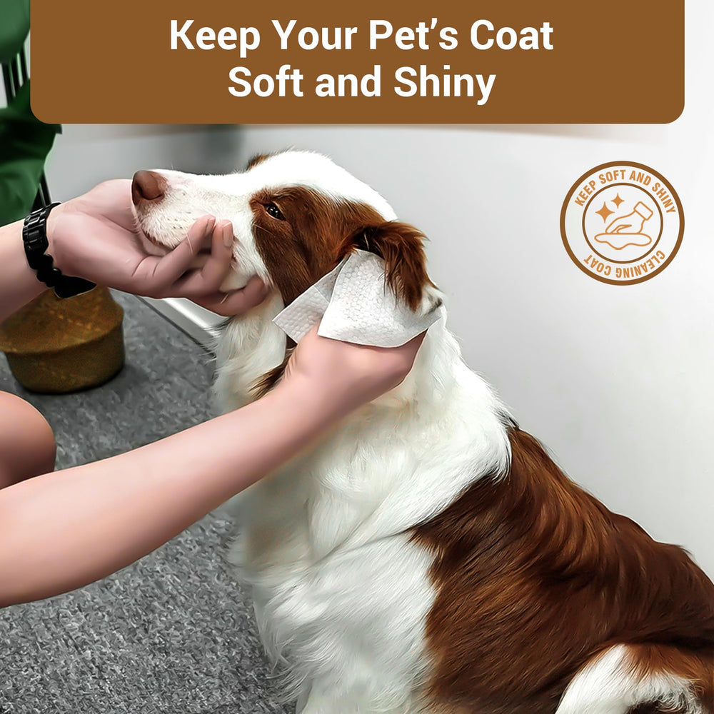 IMMCUTE dog wipes, large 8x7 inch sheets for broader coverage.