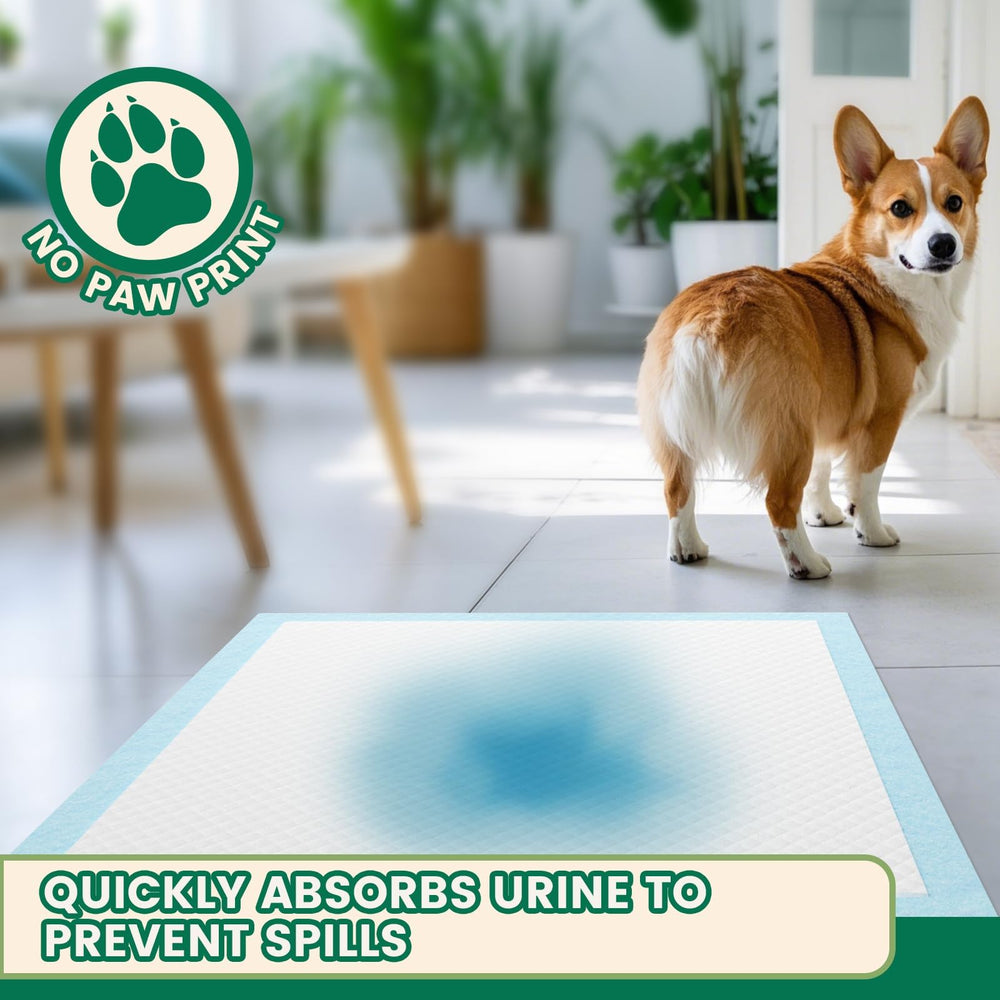 IMMCUTE pads suitable for puppies, seniors, cats and other small pets