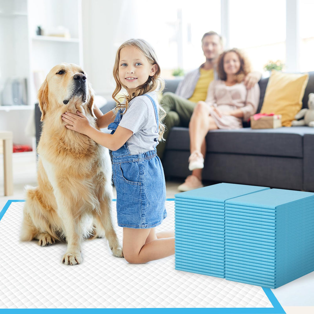 IMMCUTE budget-friendly 200-pack supports long-term training needs.