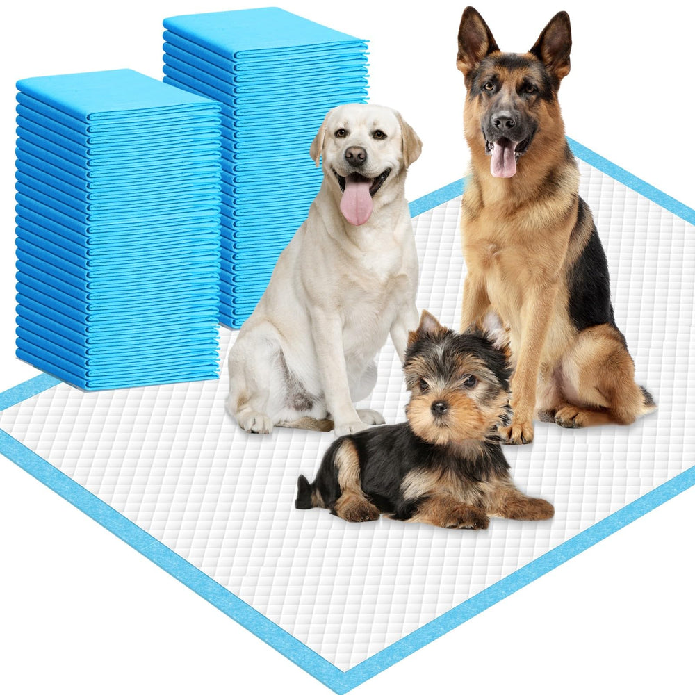IMMCUTE extra-large dog pee pad 36x44 provides ample space and quick absorption for big dogs.
