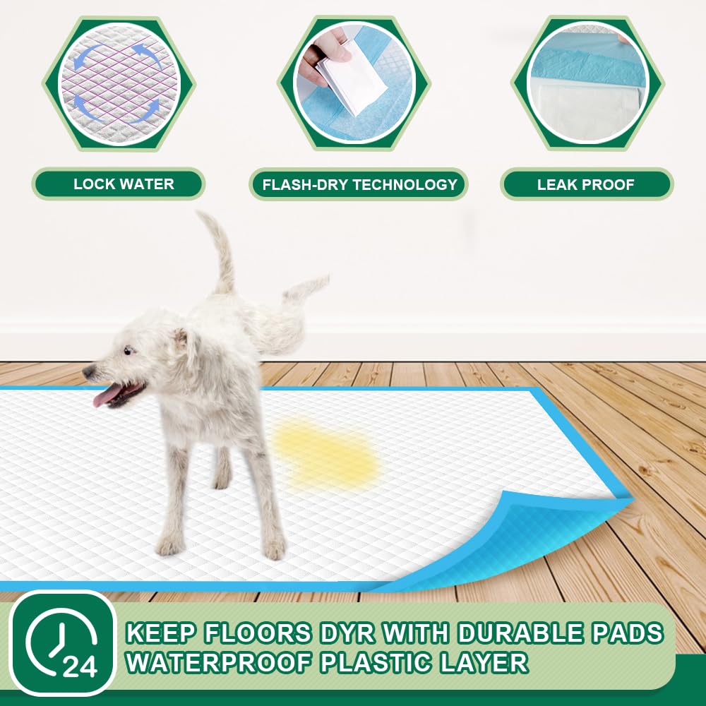 IMMCUTE flash-dry technology demonstrating quick gel formation