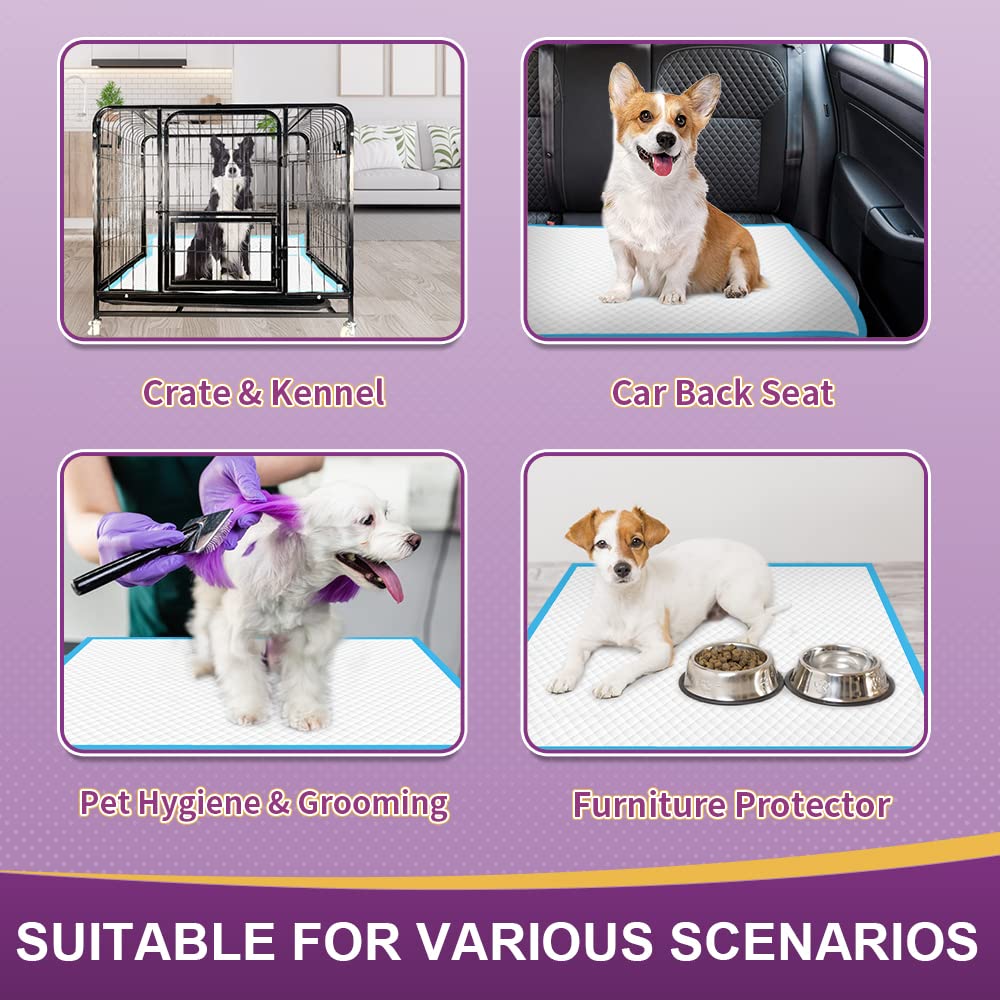 IMMCUTE indoor-outdoor versatility suitable for travel and lawn use.