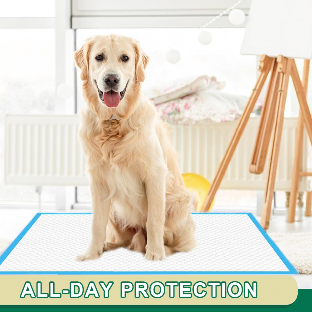 IMMCUTE pads suitable for indoor and outdoor use including travel