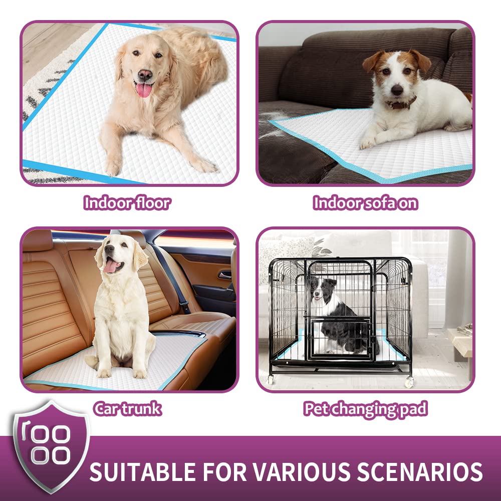 IMMCUTE indoor-outdoor use suits homes, travel, and lawntime sessions.