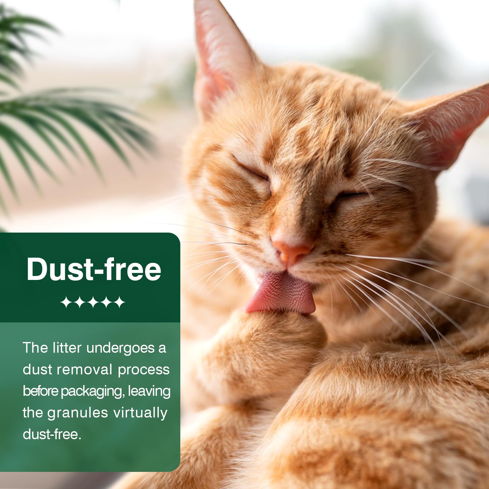 IMMCUTE kitten-friendly litter pellets support comfortable use.