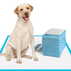 IMMCUTE large-dog-pee-pad-coverage: leak-proof protection for floors and carpets.